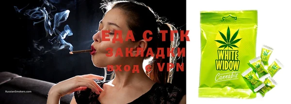 индика Абинск