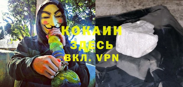 индика Абинск